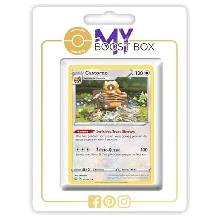Carte Pokémon Castorno 121/172 en version Holo ou Reverse Stars Étincelantes EB09, vue de face avec l’illustration complète du Pokémon Castor.