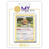 Carte Pokémon Castorno 121/172 en version Holo ou Reverse Stars Étincelantes EB09, vue de face avec l’illustration complète du Pokémon Castor.