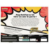Coffret Méga-Roitiflam-ex – vue 3