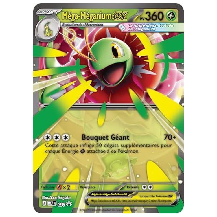 Coffret Méga-Méganium-ex – vue 5
