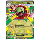 Coffret Méga-Méganium-ex – vue 5